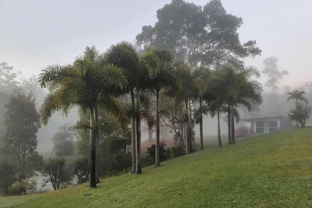 Cabin Country Retreat Paskins Farm Palmwoods Buitenkant foto