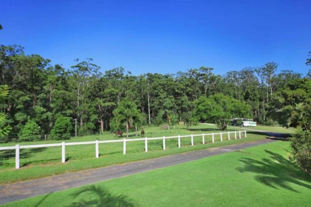 Cabin Country Retreat Paskins Farm Palmwoods Buitenkant foto